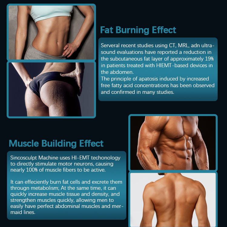 ems body sculpting machine