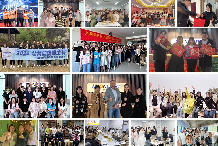 MNLT Team Highlights